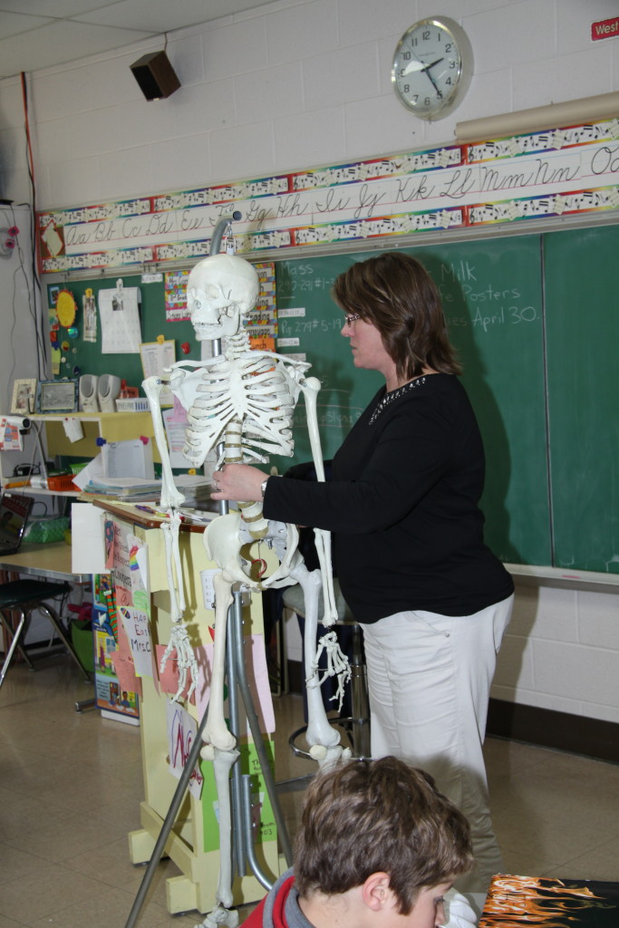 schDCskeleton